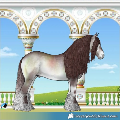 Horse Color:Chocolate Brown Chinchilla Onyx 