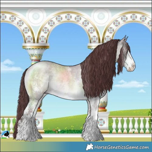 Horse Color:Chocolate Brown Chinchilla Dun Sabino Rabicano 