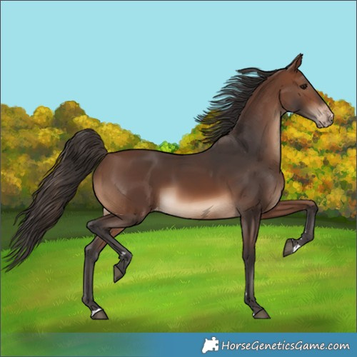 Horse Color:Brown Skewed LP Spotted 