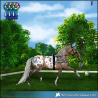 Horse Color:Silver Brown Dun Tobiano Blanket 