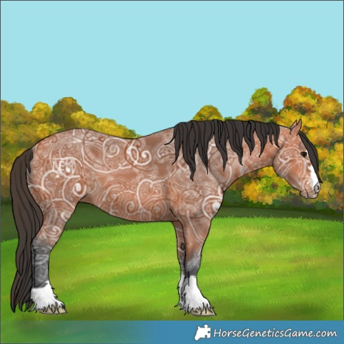 Horse Color:Bay Ice