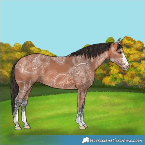 Horse Color:Bay Ice