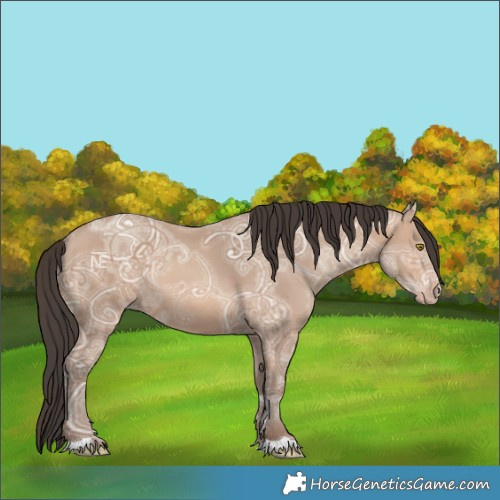 Horse Color:Amber Champagne Ice