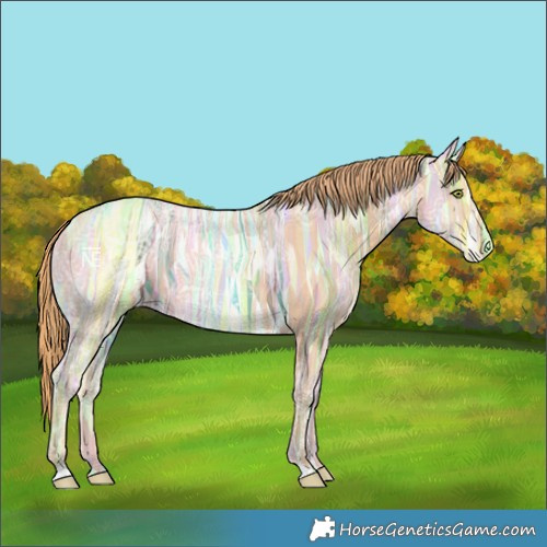Horse Color:Gold Champagne Ice