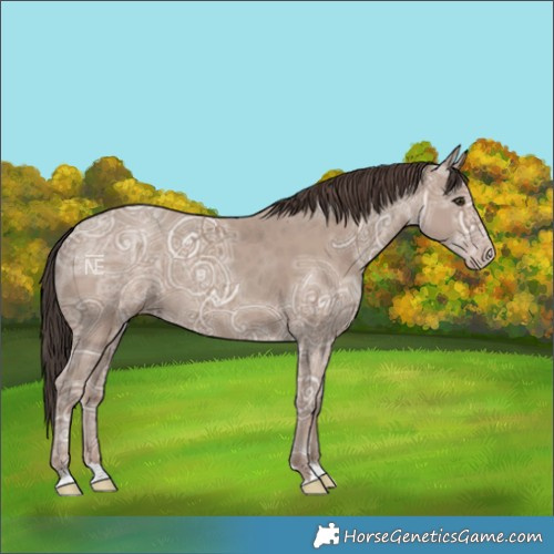 Horse Color:Classic Champagne Ice