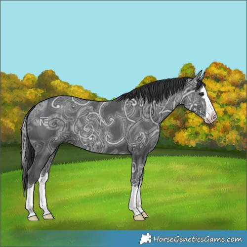 Horse Color:Black Ice Splash 