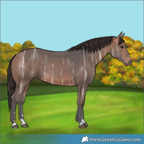 Horse Color:Bay Ice