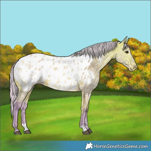 Horse Color:Watercolor Silver Bay Ice Blanket