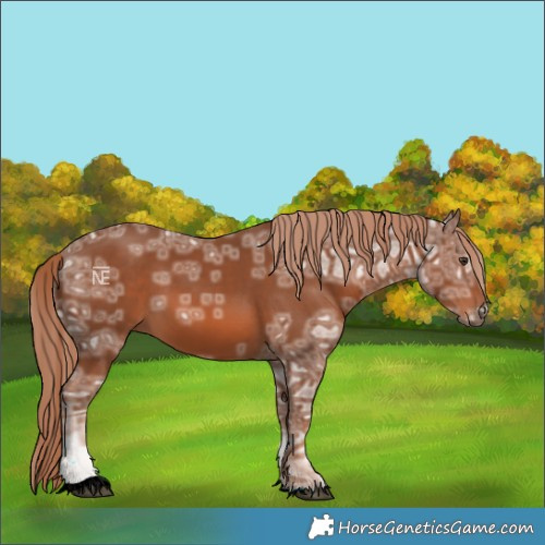 Horse Color:Chestnut Ice