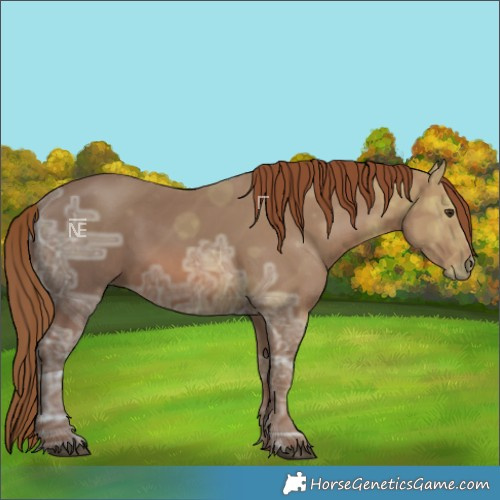 Horse Color:Chestnut Ice 