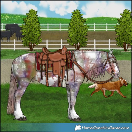 Horse Color:Nacre Liver Chestnut Ice Tobiano Frame Rabicano
