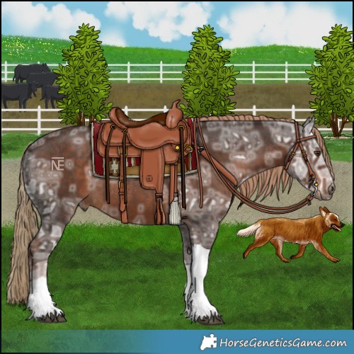 Horse Color:Liver Chestnut Ice Tobiano Rabicano