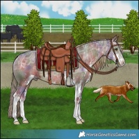 Horse Color:Nacre Liver Chestnut Ice Sabino Rabicano
