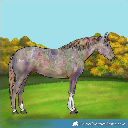 Horse Color:Nacre Liver Chestnut Ice Tobiano Rabicano 