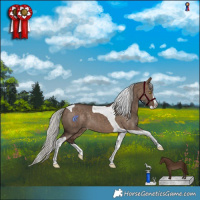 Horse Color:Silver Brown Dun Splash Tobiano Rabicano