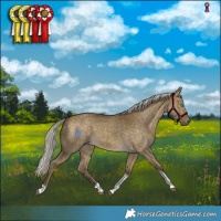Horse Color:Silver Buckskin Dun Tobiano Rabicano Brindle