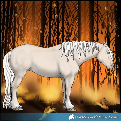 Horse Color:Silver Smoky Creme Dun