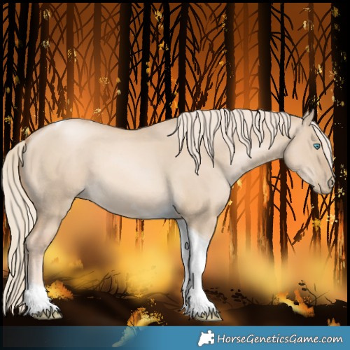 Horse Color:Chocolate Palomino Pearl Dun Tobiano 