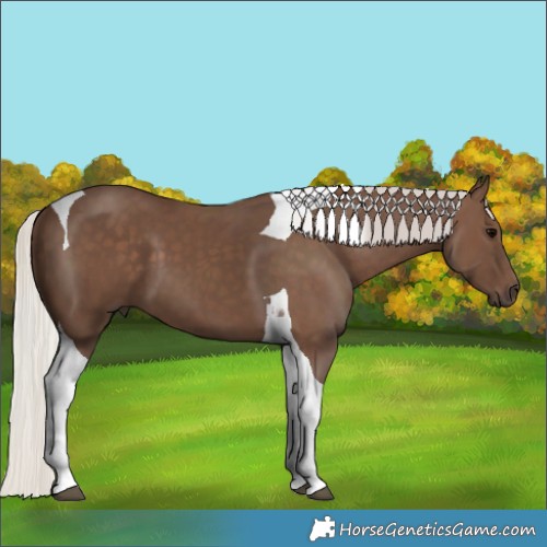 Horse Color:Silver Black Tobiano 
