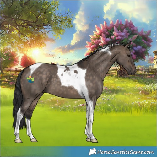Horse Color:Brown Dun Tobiano 