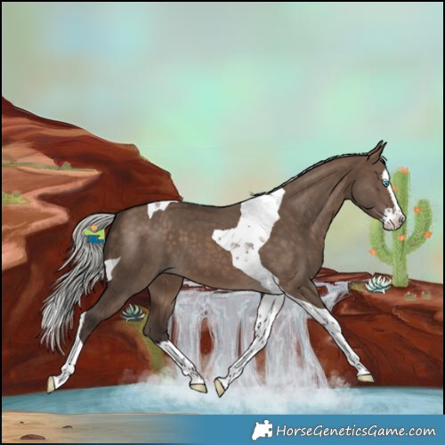 Horse Color:Silver Brown Dun Splash Tobiano