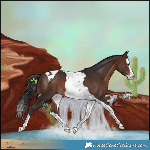 Horse Color:Brown Splash Tobiano 