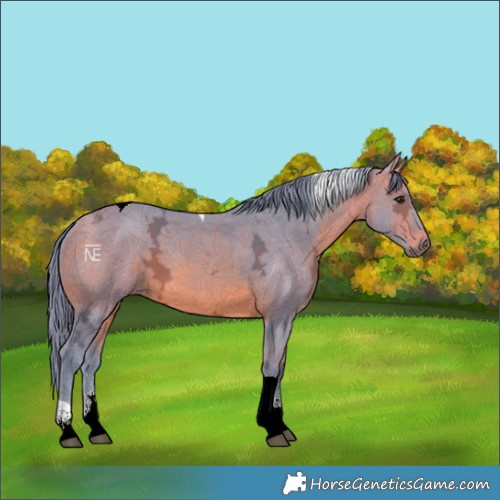 Horse Color:Watercolor Bay Ice Sabino Tobiano 