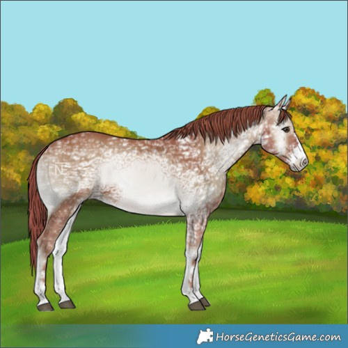 Horse Color:Watercolor Red Onyx Ice 