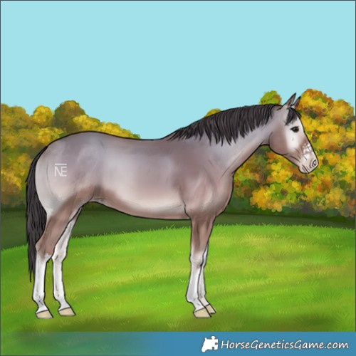 Horse Color:White Spotted Classic Champagne Onyx 