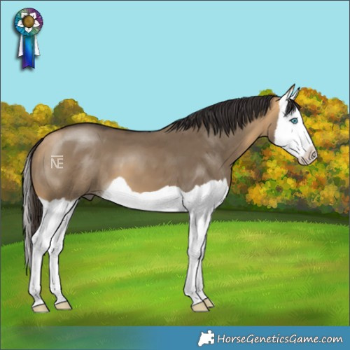 Horse Color:Buckskin Dun Splash 