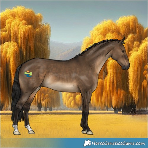 Horse Color:Gray Brown Dun