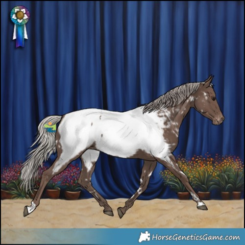 Horse Color:White Spotted Silver Black Near Fewspot