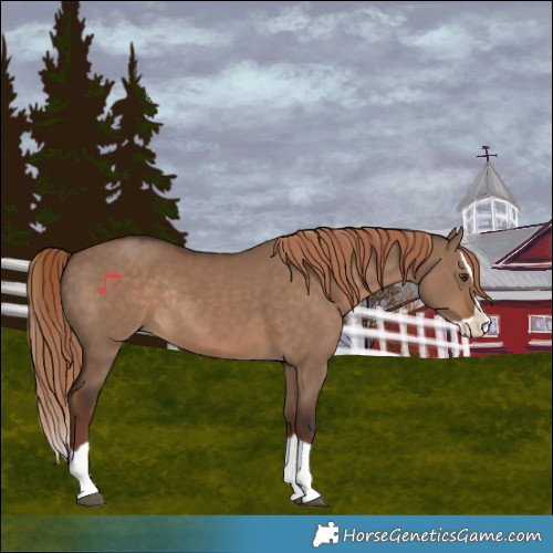 Horse Color:Liver Red Dun Splash Rabicano 