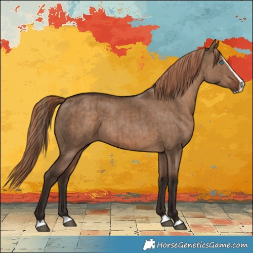 Horse Color:Liver Red Dun Splash Brindle 