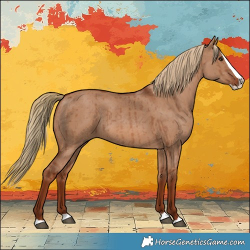 Horse Color:Red Dun Splash Brindle 