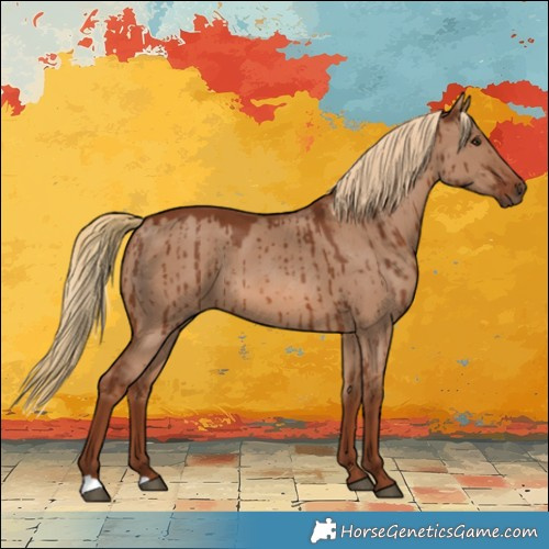 Horse Color:Red Dun Brindle 