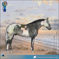 Horse Color:Platinum Chocolate Palomino Pearl Rabicano  and Platinum Black Rabicano 