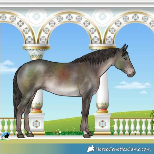 Horse Color:Platinum Liver Chestnut Rabicano 