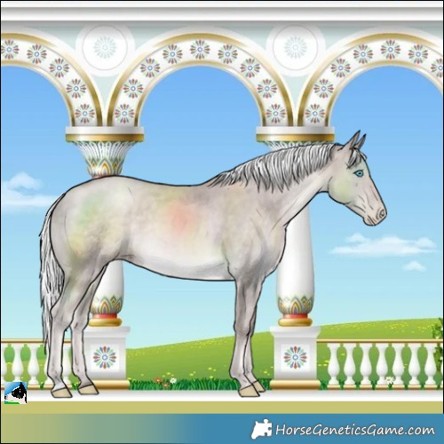 Horse Color:Platinum Chocolate Palomino Pearl Rabicano 