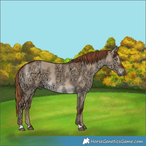 Horse Color:Red Dun Ice 