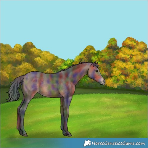 Horse Color:Nacre Bay Mushroom 