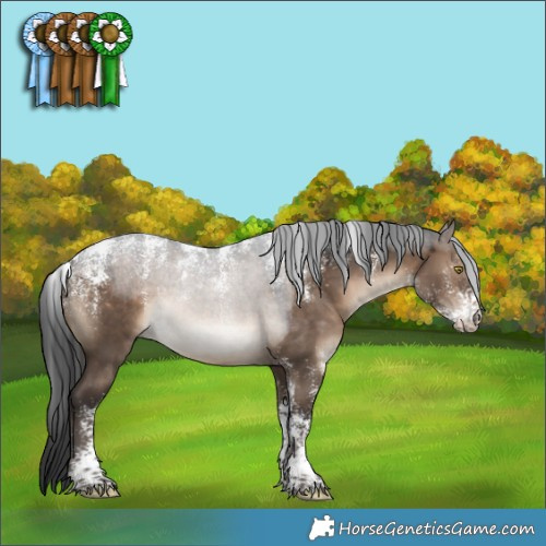 Horse Color:Powder White Brown Dun