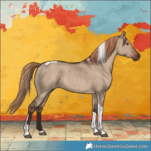 Horse Color:Liver Red Dun Tobiano 