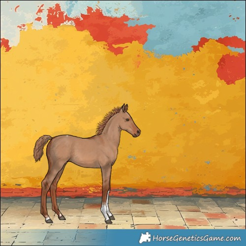 Horse Color:Red Dun Tobiano