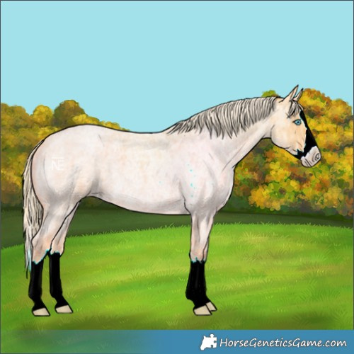 Horse Color:Palomino Ice Roan Splash