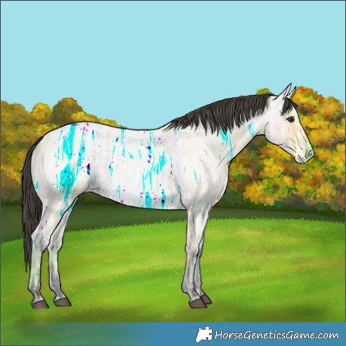 Horse Color:Buckskin Ice Roan 
