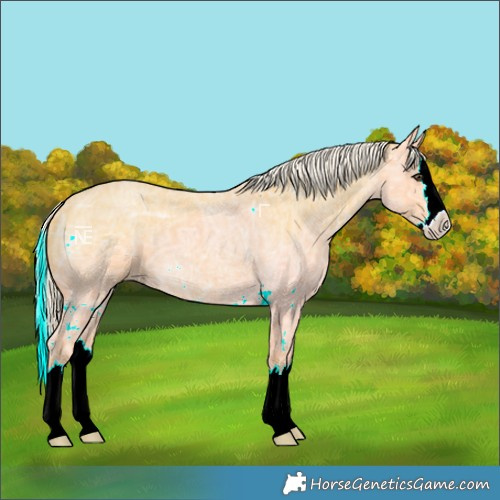 Horse Color:Palomino Ice Roan Splash 