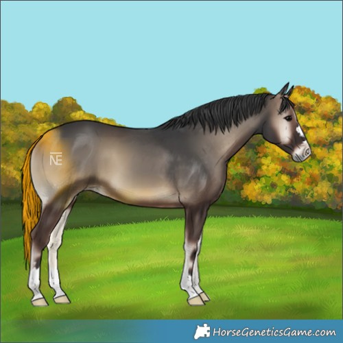 Horse Color:Blue Onyx 