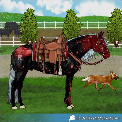 Horse Color:ERROR: UNKNOWN ANOMALY