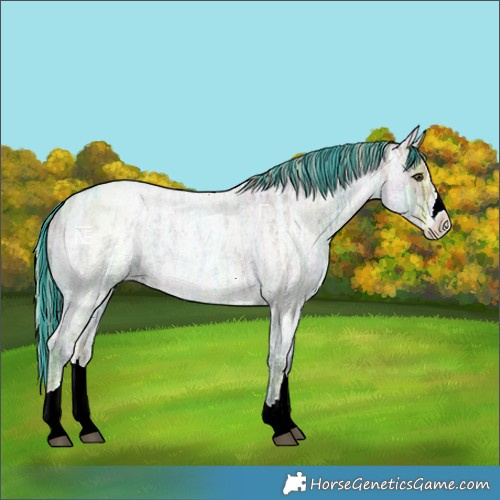 Horse Color:Painted Chocolate Palomino Ice Roan Splash 